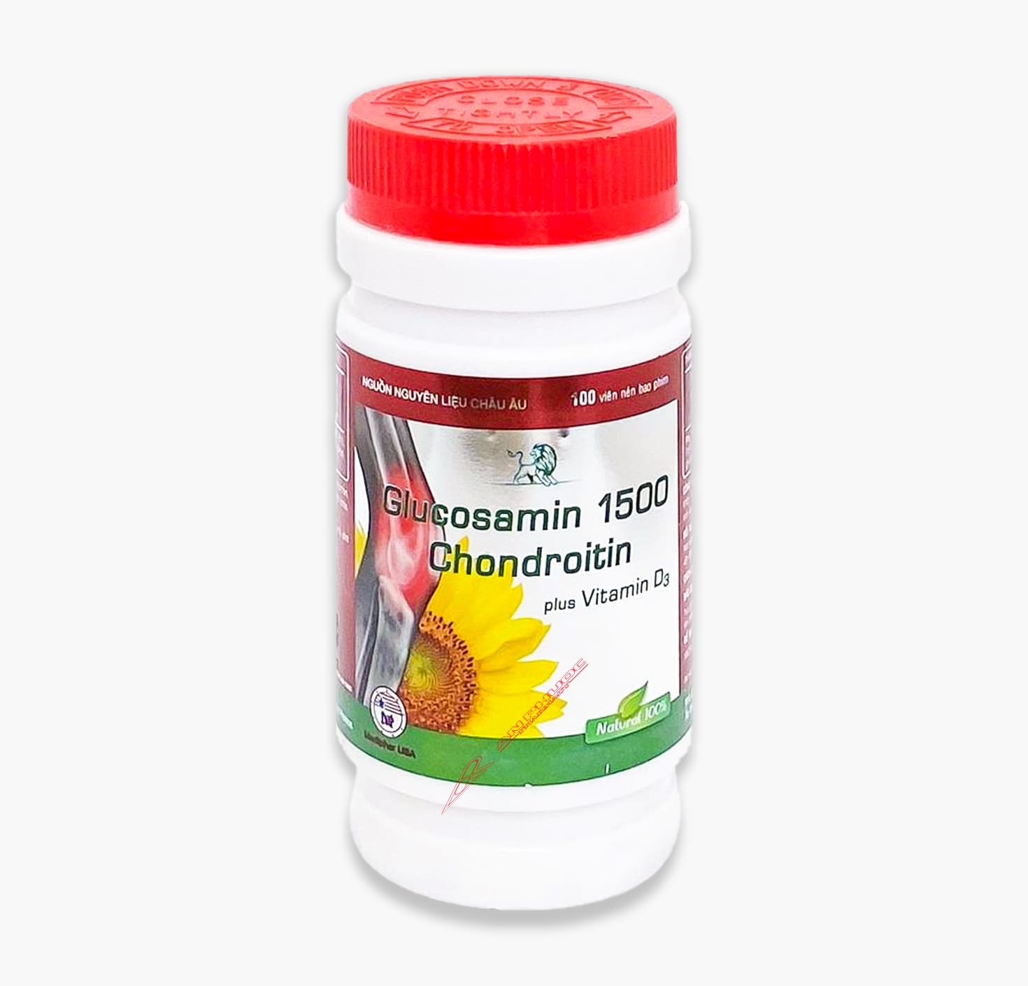 Glucosamin 1500® Chai 100 Chondroitin plus vitamin D3