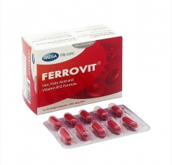 Ferrovit ( hộp 5 vỉ x 10 viên )-MEGA
