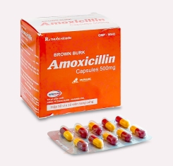 Thuốc Amoxicillin® 500mg | Brown Burk |【Hộp 100 viên】