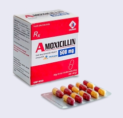 Thuốc Amoxicillin® 500mg | Domesco |【Hộp 100 viên】