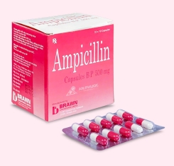 Thuốc Ampicillin® 500mg | Brawn |【Hộp 100 viên】