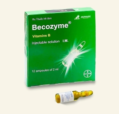 Thuốc Becozyme® injectable solution I.M. |【Hộp 12 ống】