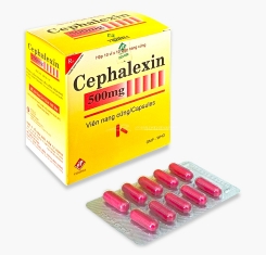 Thuốc Cephalexin 500mg VIDIPHA