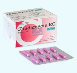 Thuốc Clindamycin EG® 300mg |【Hộp 100 viên】