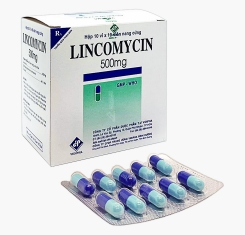 Thuốc Lincomycin® 500mg | VIDIPHA