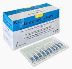 Thuốc Lincomycin Kabi® 600mg/2ml | Dung dịch tiêm
