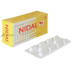 Thuốc Nidal™ | Ampharco U.S.A