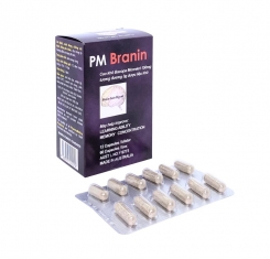 Thuốc PM Brain 