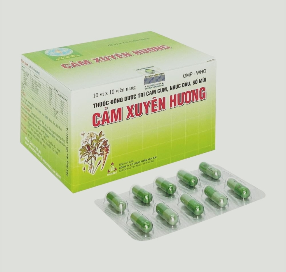 Cảm xuyên hương ( hộp 10 vỉ x 10 viên )
