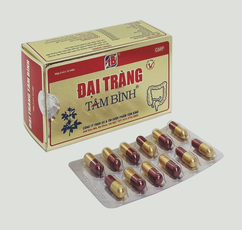 Đại tràng tâm bình ( hộp 5 vỉ x 12 viên )