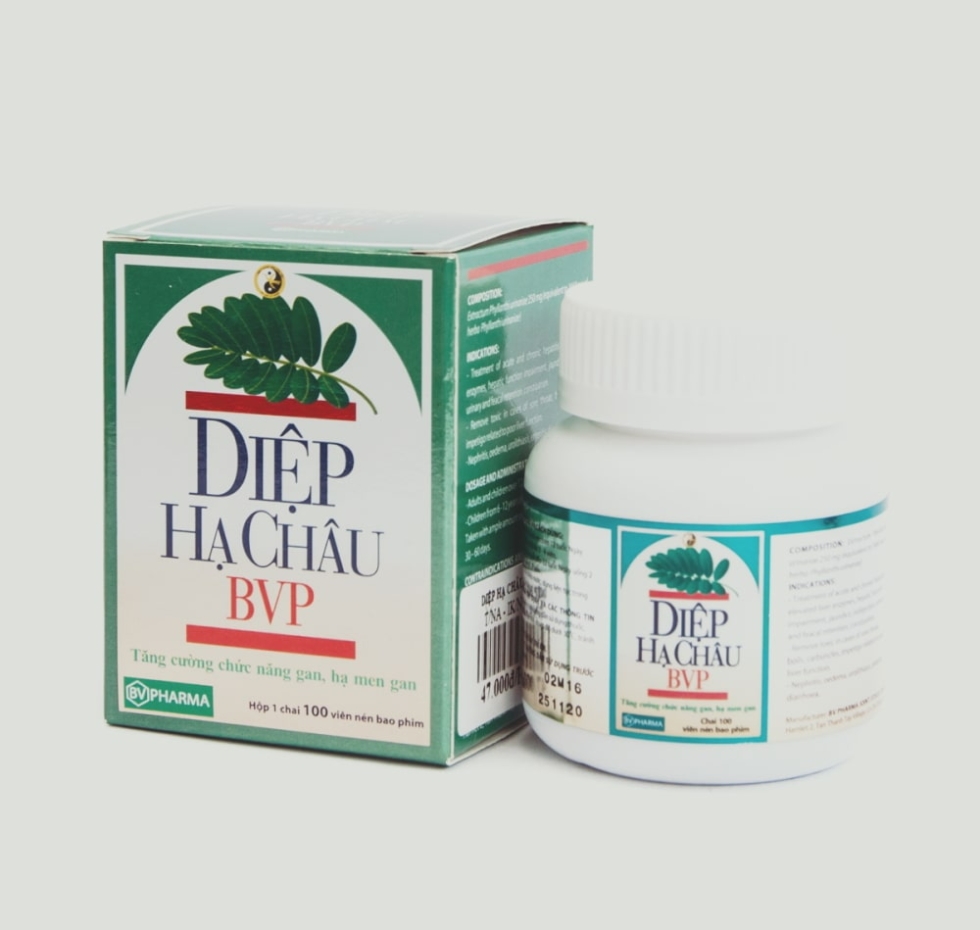 Diệp hạ châu BVP ( chai 100 viên )