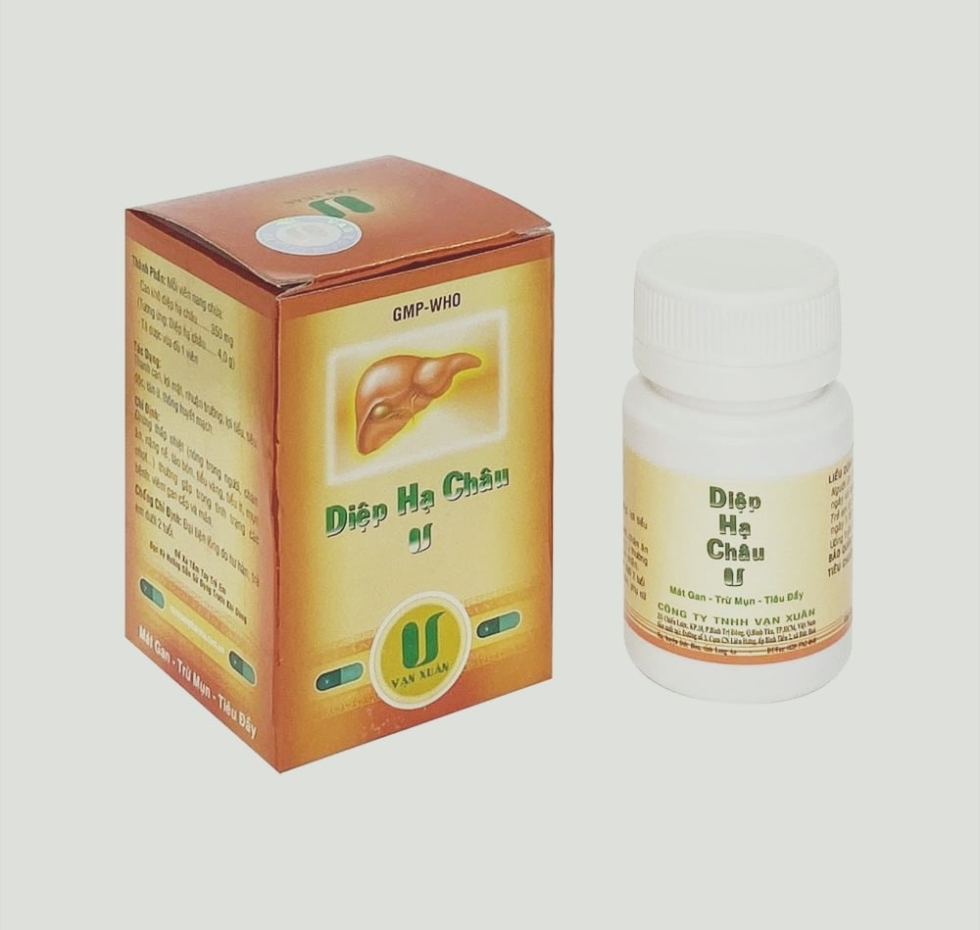 Diệp hạ châu vạn xuân ( chai 60 viên )