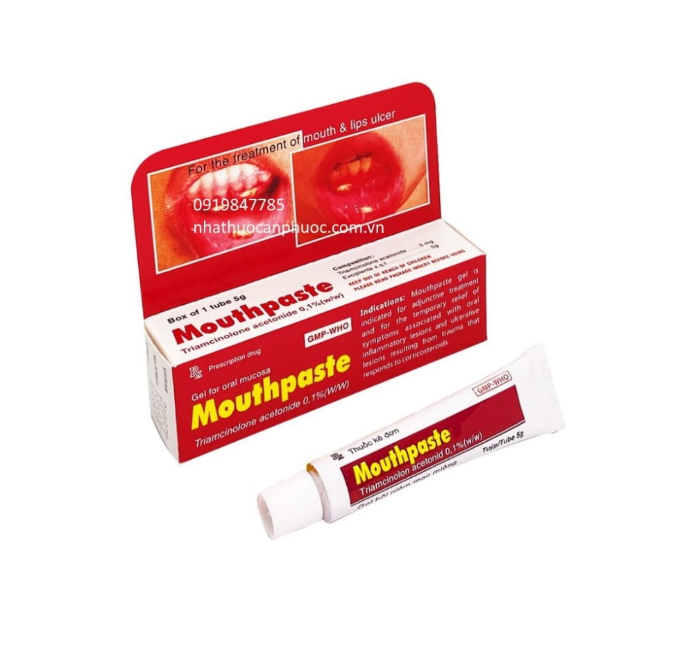 Gel bôi nhiệt miệng Mouthpaste 