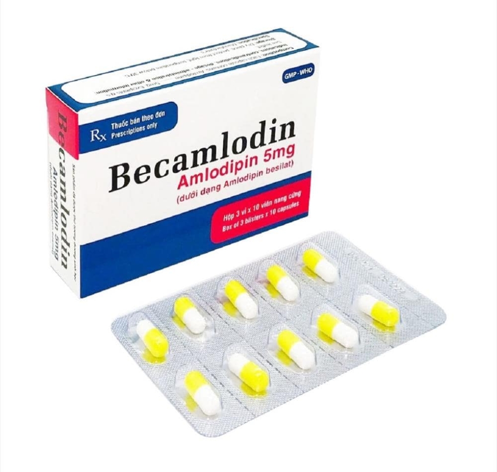 Thuốc Becamlodin 5mg