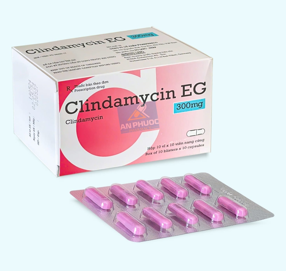 Thuốc Clindamycin EG® 300mg |【Hộp 100 viên】
