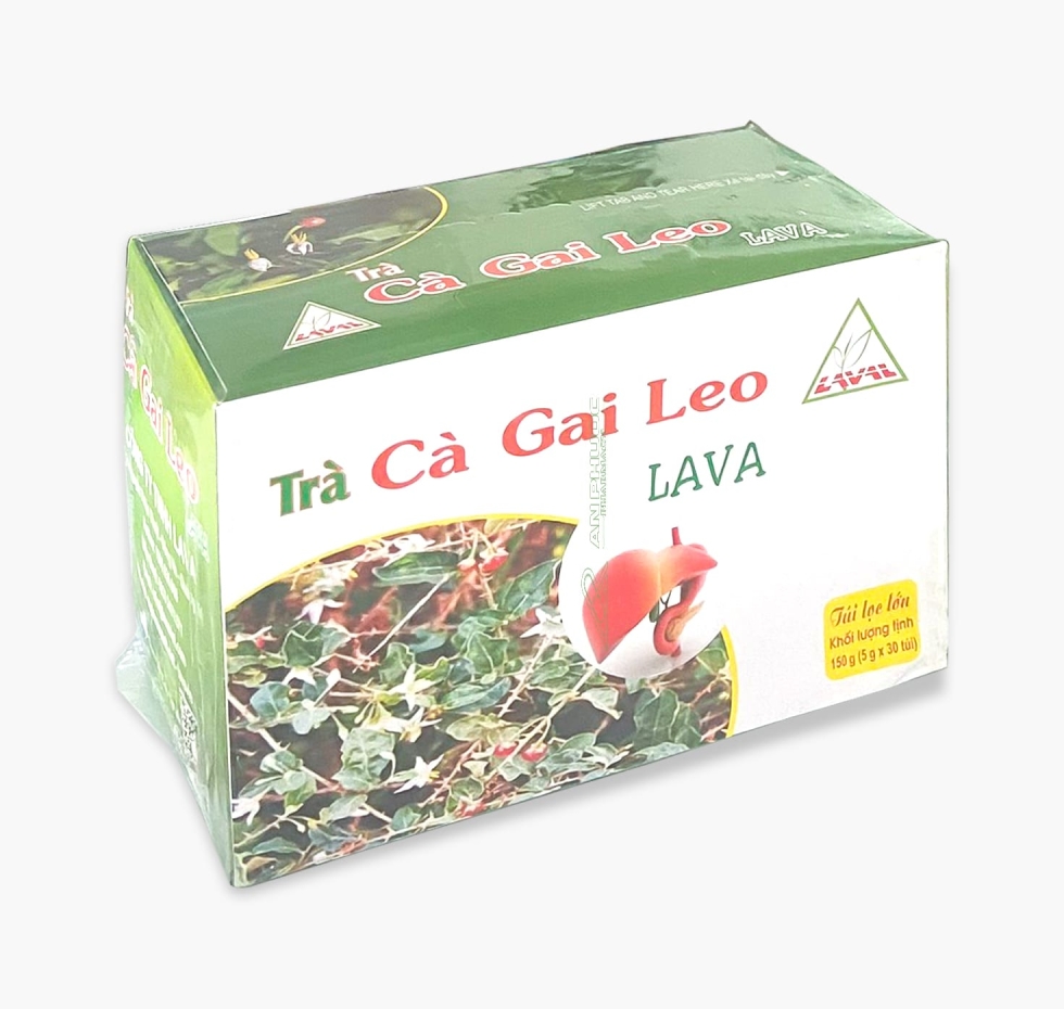 Trà Cà Gai Leo LAVA® |  Dùng cho người bị gan nhiễm mỡ  
