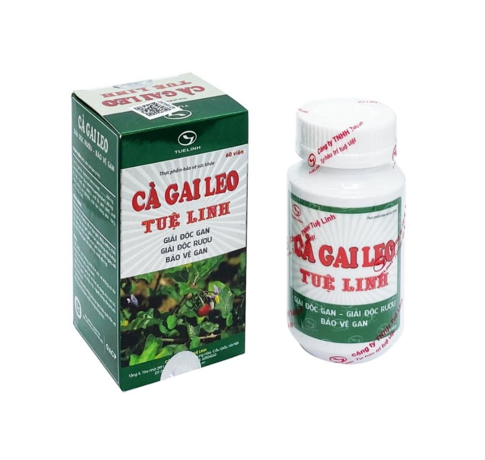 Viên uống Cà gai leo tuệ linh
