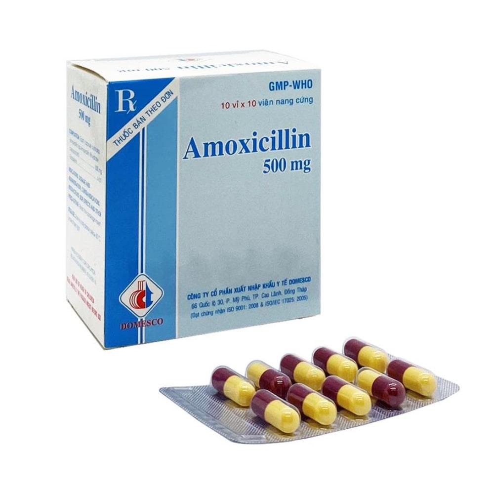 Thuốc Kháng Sinh Amoxicillin 500mg